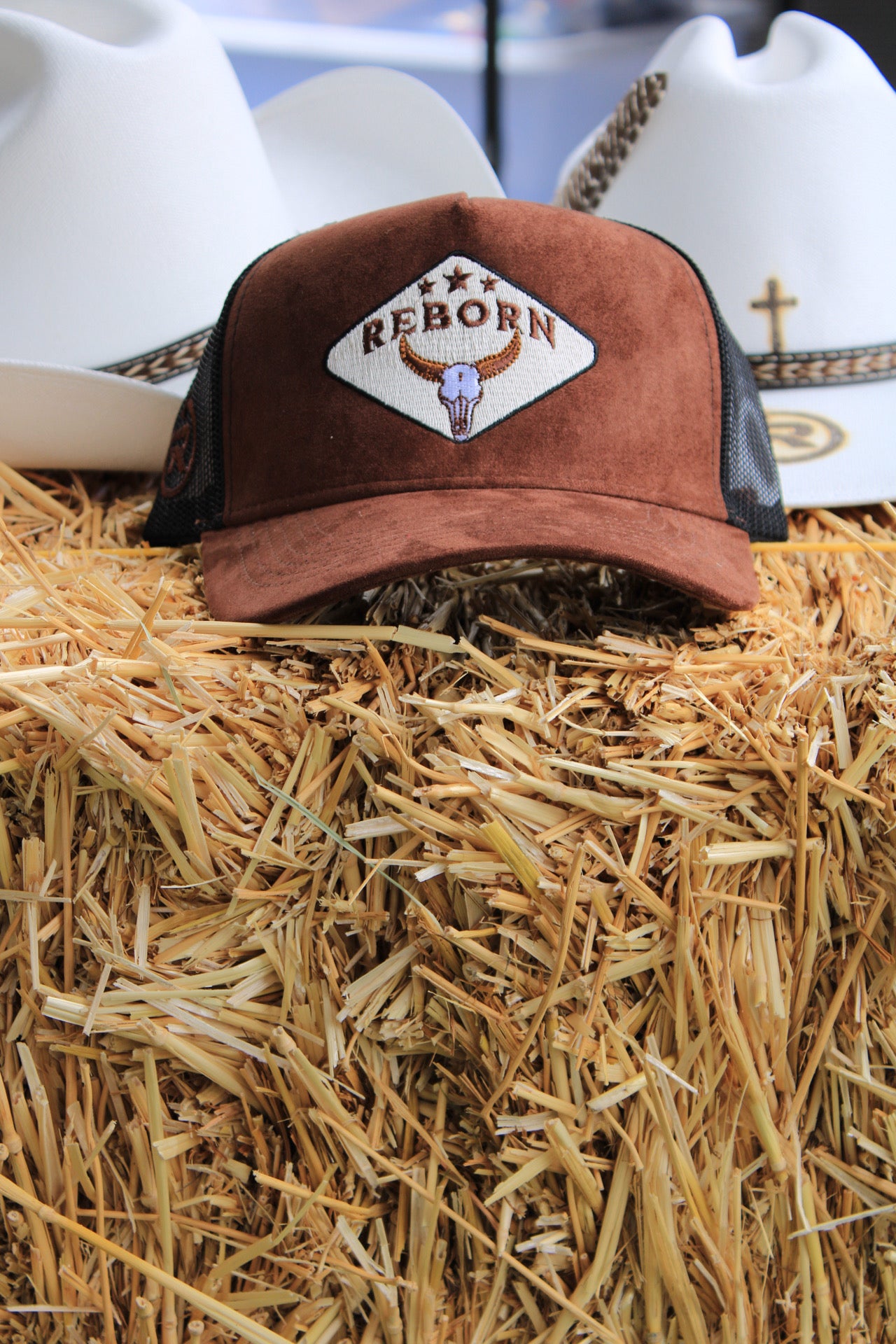 Reborn Bull 🐂 Hat(Brown Suede)